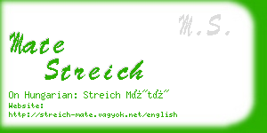 mate streich business card